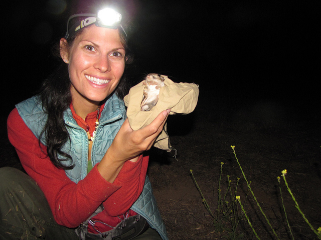 Liv Baker: Translocation stress in Stephens’ kangaroo rats