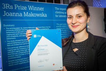 Animal welfare alumni wins international 3Rs prize with her study on natural behaviours of lab rats