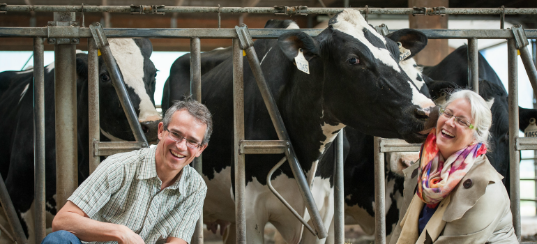 Animal welfare project co-led by Dan Weary awarded $1.4M by Genome Canada’s Genomics in Society Interdisciplinary Research Team