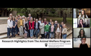 Animal Welfare Program at virtual National Animal Welfare Conference