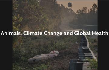Animals, Climate Change and Global Health: Webinar series