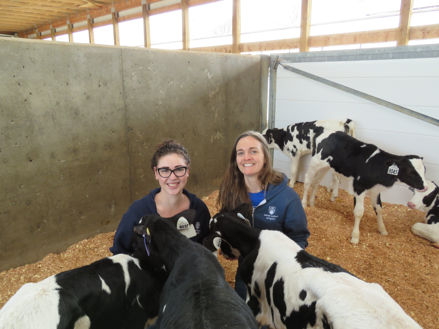 Using Realistic Evaluation to understand how interventions work on dairy farms