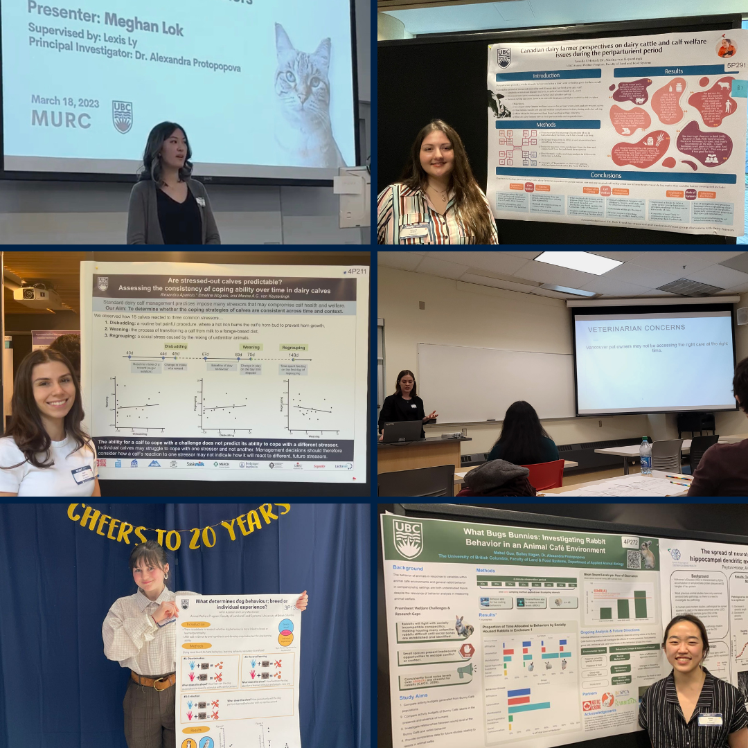 AWP Students Present at Recent UBC Research Showcases
